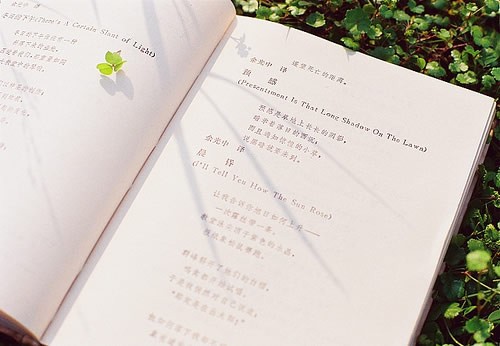2020年云南成人高考考试时间在什么时候？