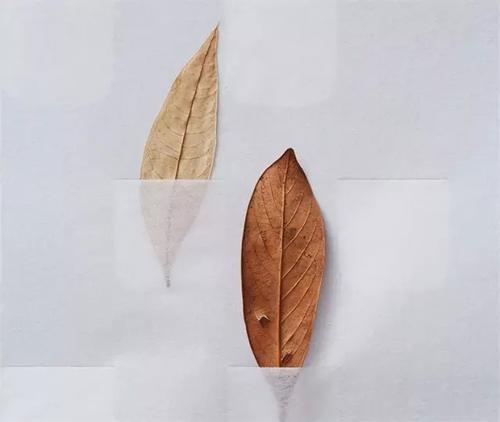 云南成人高考入学考什么科目?(图1) 云南成人高考入学考什么科目?