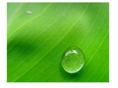 云南函授大专可以考教师资格证吗