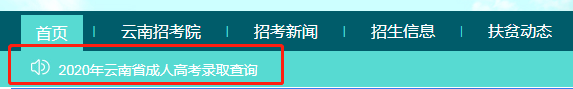 2020年云南成人高考录取结果查询入口已开通(图3)