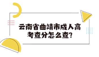 云南省曲靖市成人高考查分是怎么查?