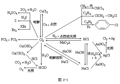 【云南成人高考】2019年高起点化学元素及其化合(图1)
