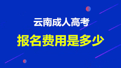 云南省成人高考函授报名费