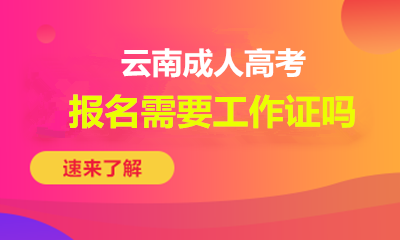 云南成考报名需要工作证吗
