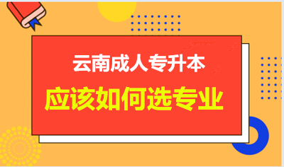 云南成人专升本应该如何选专业