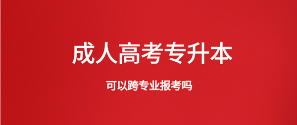 云南省成人高考专升本可以跨专业报考吗