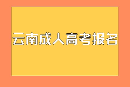 云南省成人高考报名