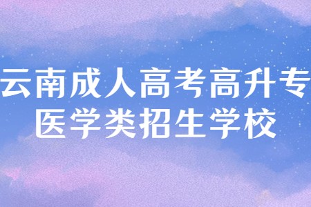 云南省成人高考高升专医学类招生学校