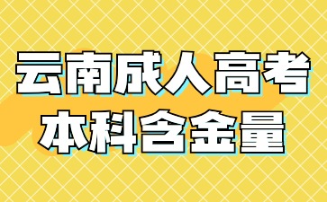 2024年云南成人高考本科学历毕业含金量怎么样?(图1) 2024年云南成人高考本科学历毕业含金量怎么样?